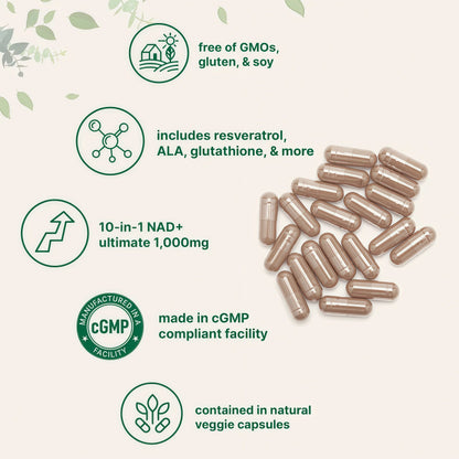 Micro Ingredients NMN Complex 1000mg Per Serving, 120 Veggie Capsules | 10-in-1 with Nicotinamide Mononucleotide, Resveratrol, CoQ10, Quercetin & Glutathione | NAD+ Supplement Precursor | Filler Free